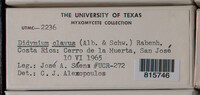 Image Associated With the Occurence